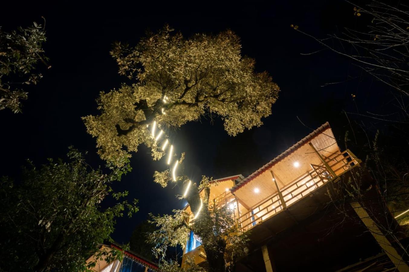 Into The Woods Treehouse Jibhi Villa Dış mekan fotoğraf